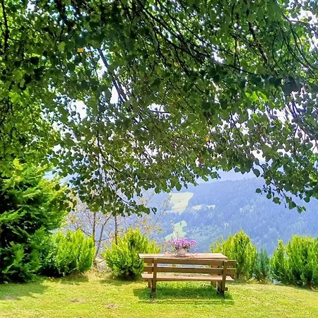 Vakantiehuis Almhorizont