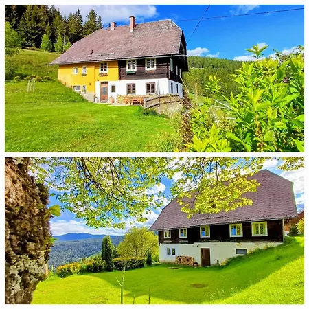 Vakantiehuis Almhorizont *